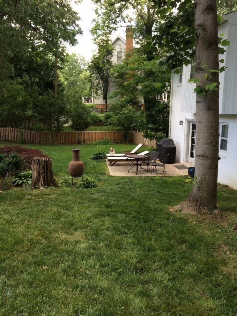 Before photo of backyard before garden was planted. Laura Hooper Design House.